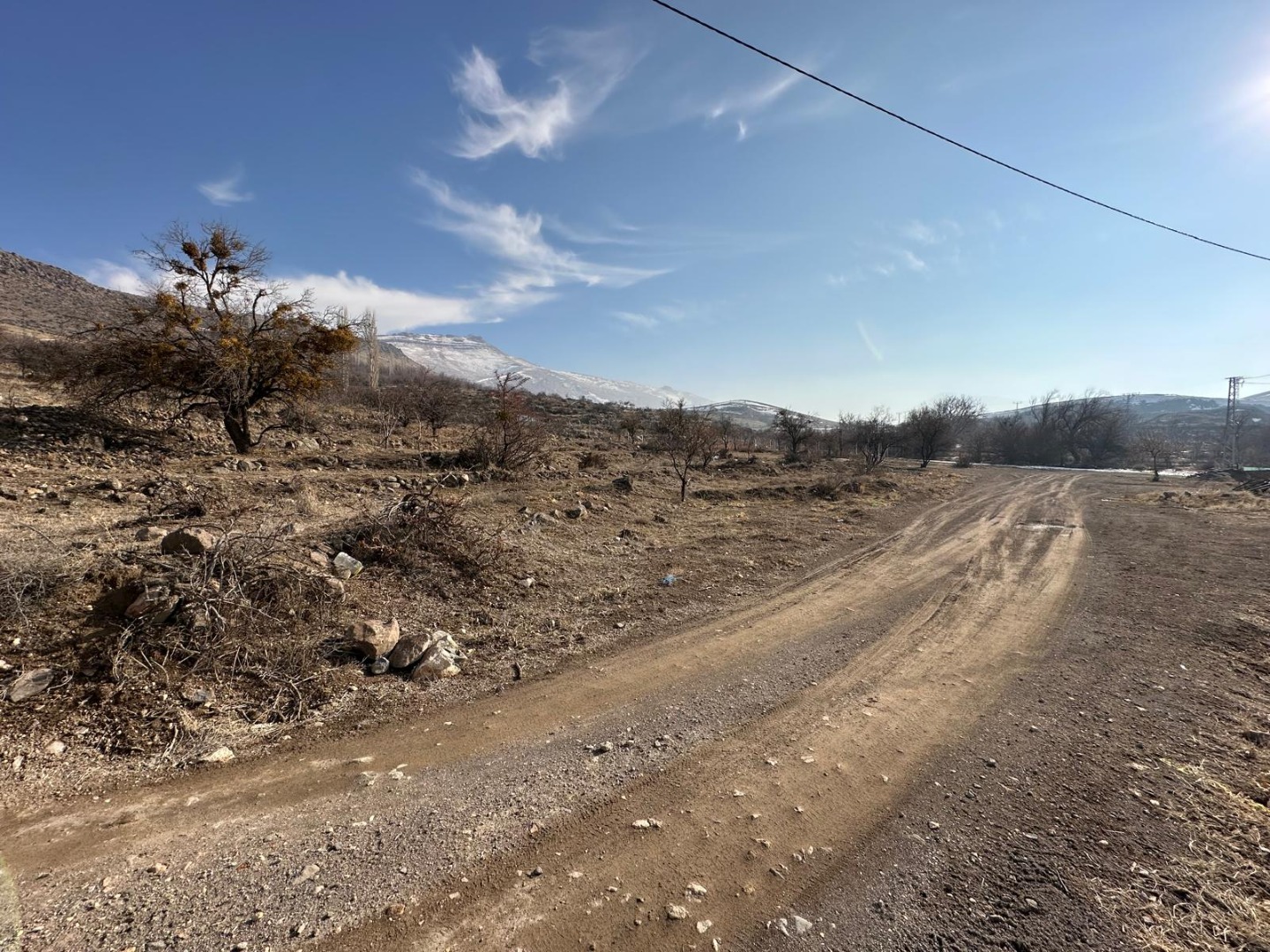 KAYSERİ DEVELİ GÜNEYAŞAĞI MAHALLESİ ÇOBANBAĞI MEVKİİNDE SATILIK BAĞ YERİ